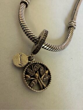 Pandora Family Heritage Dangle Charm 
Retired #791728CZ ALE 925 G585